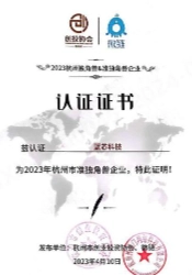 托盘搬运叉车
