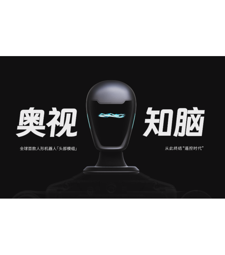 蓝芯科技新品 人形机器人 头部模组